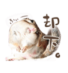 シマリス♡ビビSP（個別スタンプ：6）