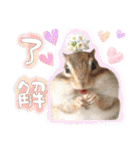 シマリス♡ビビSP（個別スタンプ：7）