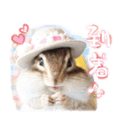 シマリス♡ビビSP（個別スタンプ：19）