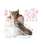 シマリス♡ビビSP（個別スタンプ：28）