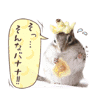 シマリス♡ビビSP（個別スタンプ：33）