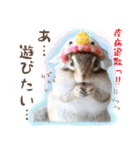 シマリス♡ビビSP（個別スタンプ：39）