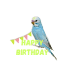 my little bird 2（個別スタンプ：10）