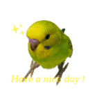 my little bird 2（個別スタンプ：11）