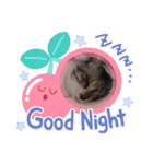 ねこスタンプ ～みみ～（個別スタンプ：6）