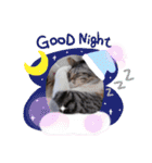 ねこスタンプ ～みみ～（個別スタンプ：7）