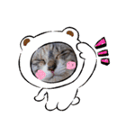 ねこスタンプ ～みみ～（個別スタンプ：21）