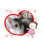 ねこスタンプ ～みみ～（個別スタンプ：24）