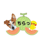 ジャックのロッタちゃん☆5（個別スタンプ：3）