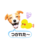 ジャックのロッタちゃん☆5（個別スタンプ：7）