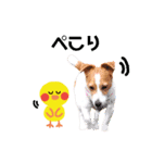 ジャックのロッタちゃん☆5（個別スタンプ：10）