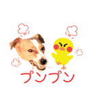 ジャックのロッタちゃん☆5（個別スタンプ：12）