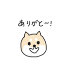 しばいぬとねこ（個別スタンプ：1）