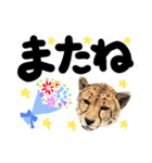 うちのユニークネコちゃんたち（個別スタンプ：40）