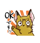 うちのもきちくん（個別スタンプ：1）