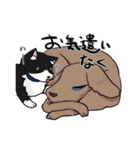 AfterHappyEnd3（個別スタンプ：39）