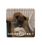 むぎむぎと申します。（個別スタンプ：4）