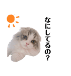 ぼくわたげ（個別スタンプ：5）