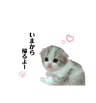 ぼくわたげ（個別スタンプ：7）