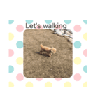 愛犬ココちゃんのスタンプ（個別スタンプ：2）