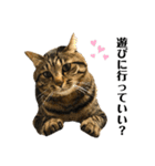 ちまきとあずき（個別スタンプ：6）