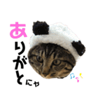 ちまきとあずき（個別スタンプ：32）