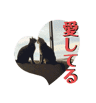 ちまきとあずき（個別スタンプ：34）