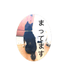 黒柴てっちゃん応援団（1）（個別スタンプ：17）