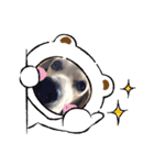 りんころでスタンプ（個別スタンプ：6）