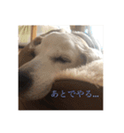りんころでスタンプ（個別スタンプ：8）