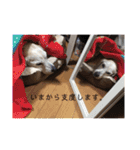 りんころでスタンプ（個別スタンプ：27）