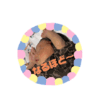 ひなたまる3（個別スタンプ：9）