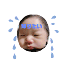 ひなたまる3（個別スタンプ：16）