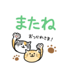 使いやすい「M.Yねこ」スタンプ（個別スタンプ：16）