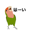 インコといろいろな鳥のスタンプ(Ver.7)（個別スタンプ：2）