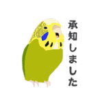 インコといろいろな鳥のスタンプ(Ver.7)（個別スタンプ：6）