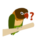 インコといろいろな鳥のスタンプ(Ver.7)（個別スタンプ：10）