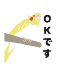 インコといろいろな鳥のスタンプ(Ver.7)（個別スタンプ：13）