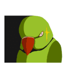 インコといろいろな鳥のスタンプ(Ver.7)（個別スタンプ：23）