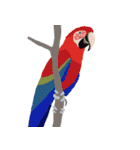 インコといろいろな鳥のスタンプ(Ver.7)（個別スタンプ：33）