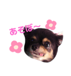 ♡ちゃむリン♡（個別スタンプ：2）