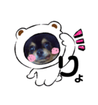 ♡ちゃむリン♡（個別スタンプ：3）
