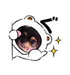 ♡ちゃむリン♡（個別スタンプ：4）