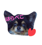 ♡ちゃむリン♡（個別スタンプ：8）