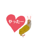 コザクラインコのマロン③（個別スタンプ：3）