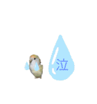 コザクラインコのマロン③（個別スタンプ：14）