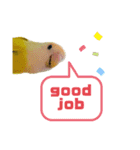 コザクラインコのマロン③（個別スタンプ：22）