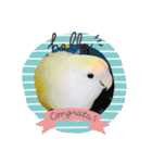 コザクラインコのマロン③（個別スタンプ：38）
