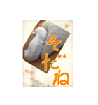 白柴こむぎ ゆるいお返事 7（個別スタンプ：2）