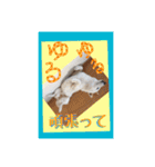 白柴こむぎ ゆるいお返事 7（個別スタンプ：22）